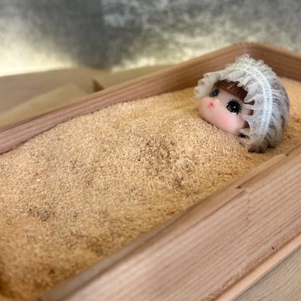復活❣️