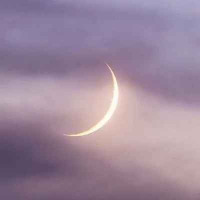 MOON LIGHT  ムーンライト