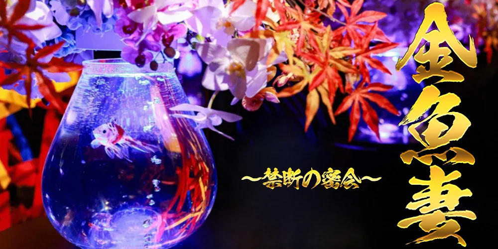 金魚妻 すすきの・豊平店