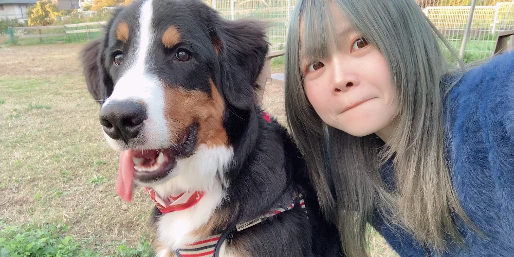 SPA Bernese