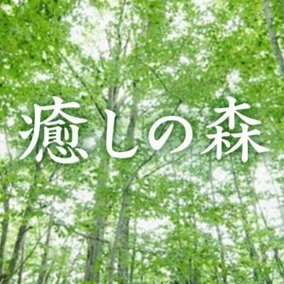出張メンズエステ　癒しの森